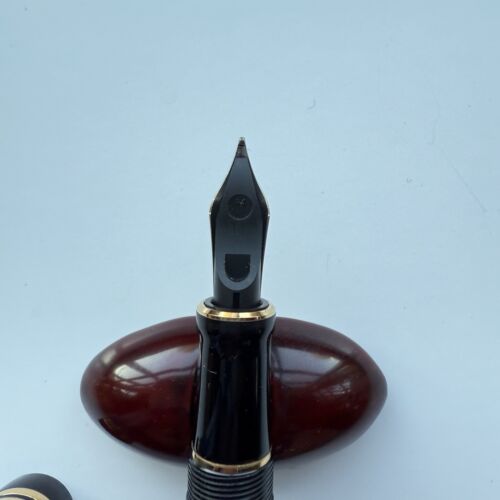 Parker Duofold International “Swirl” Ebonite, 18K M Nib