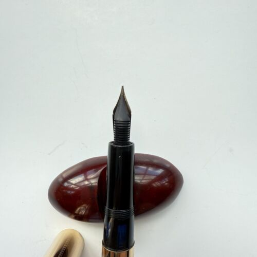 Rare Vintage Montegrappa Gold Plated Fountain Pen 1960s